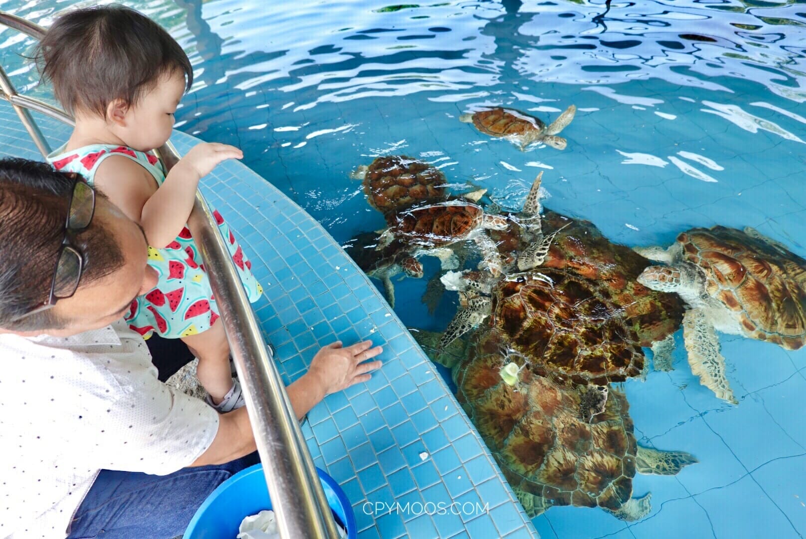 visit turtle sanctuary